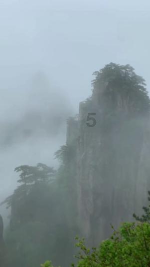 中医全科医师资格证游戏画面
